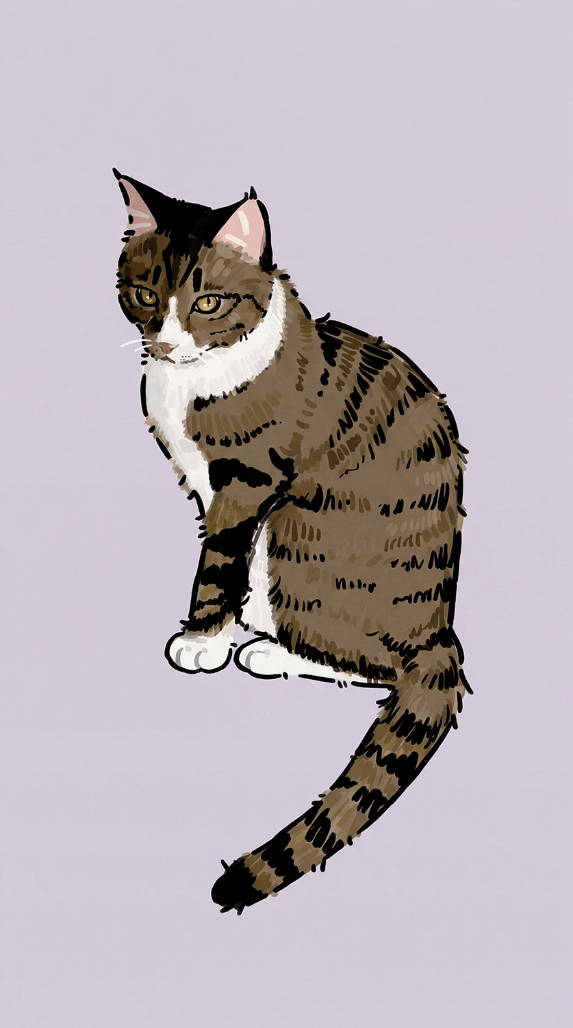 Minimalist Illustration