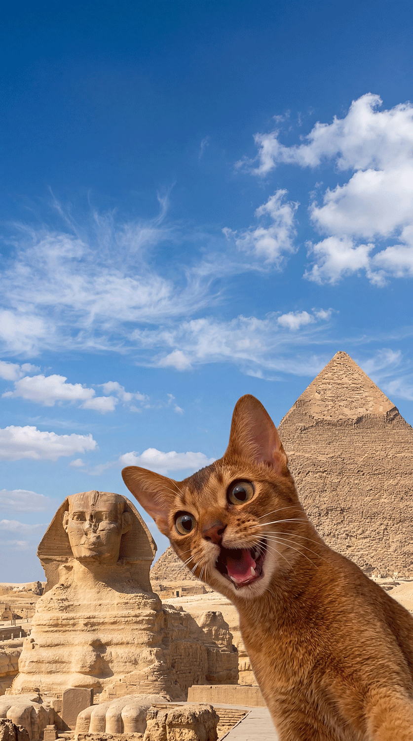 Egypt Pyramid Selfie