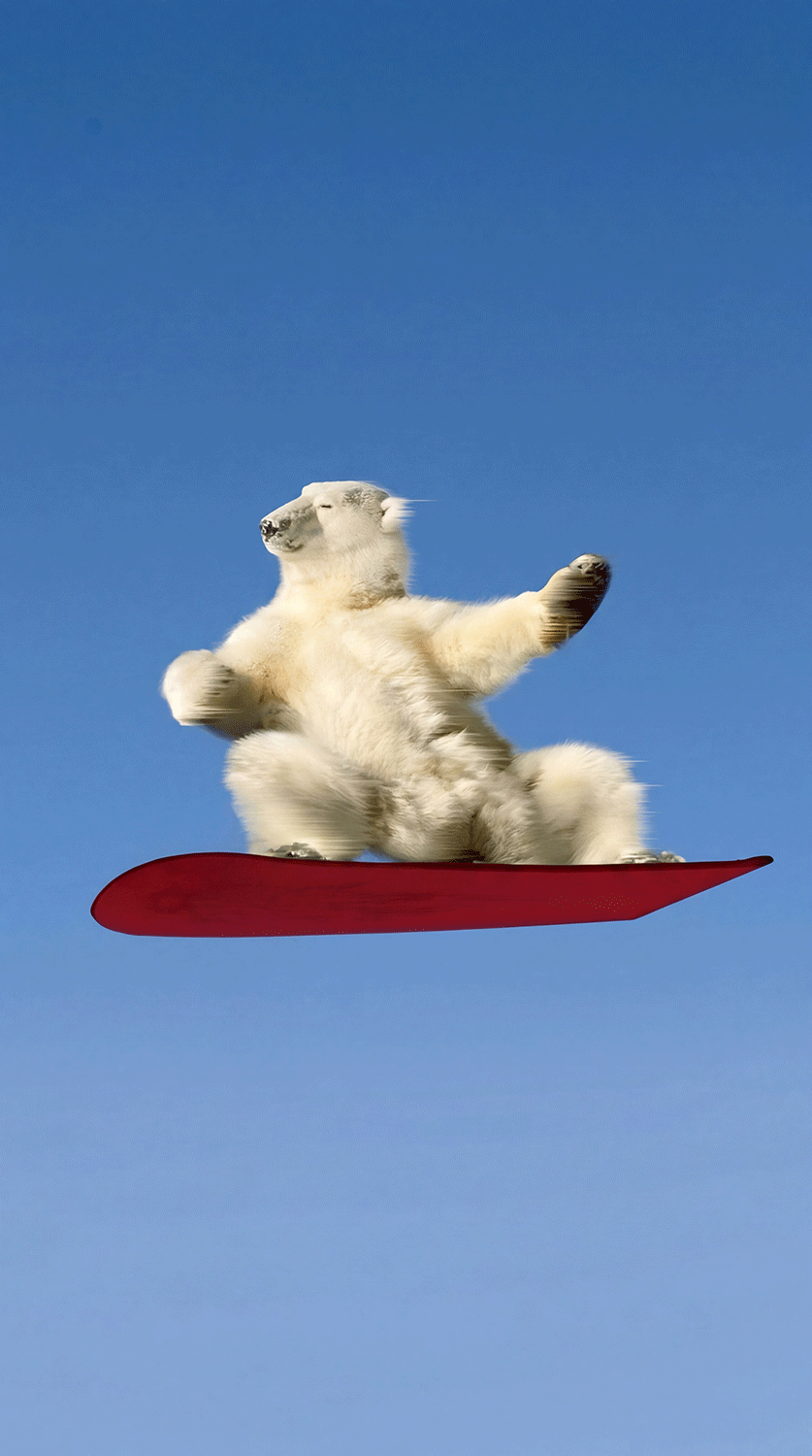 Snowboard Extreme Sports