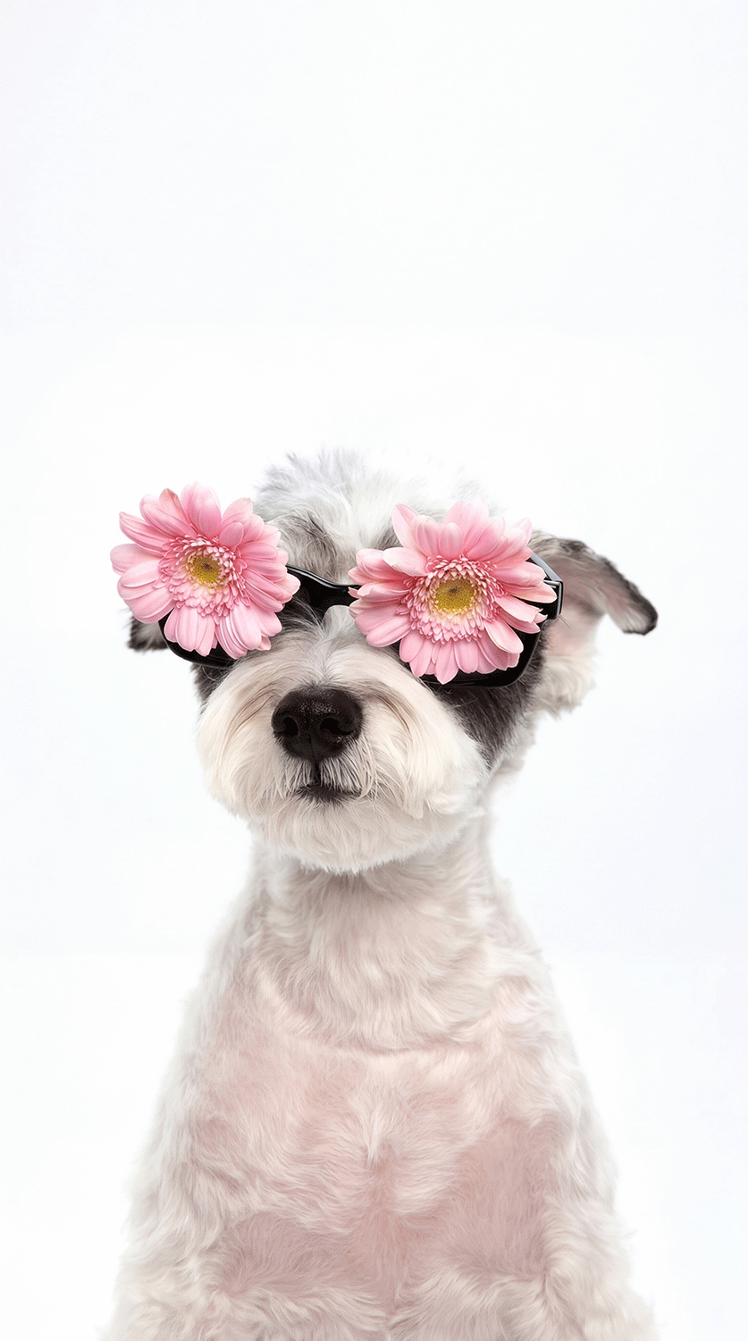 Flower Sunglasses Portrait