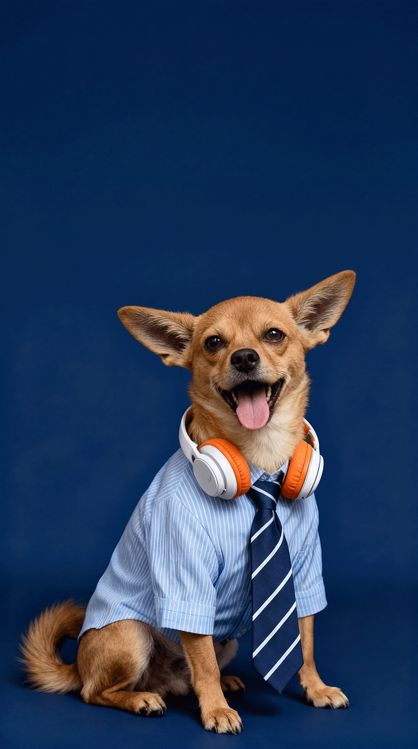 Business Professional Portrait